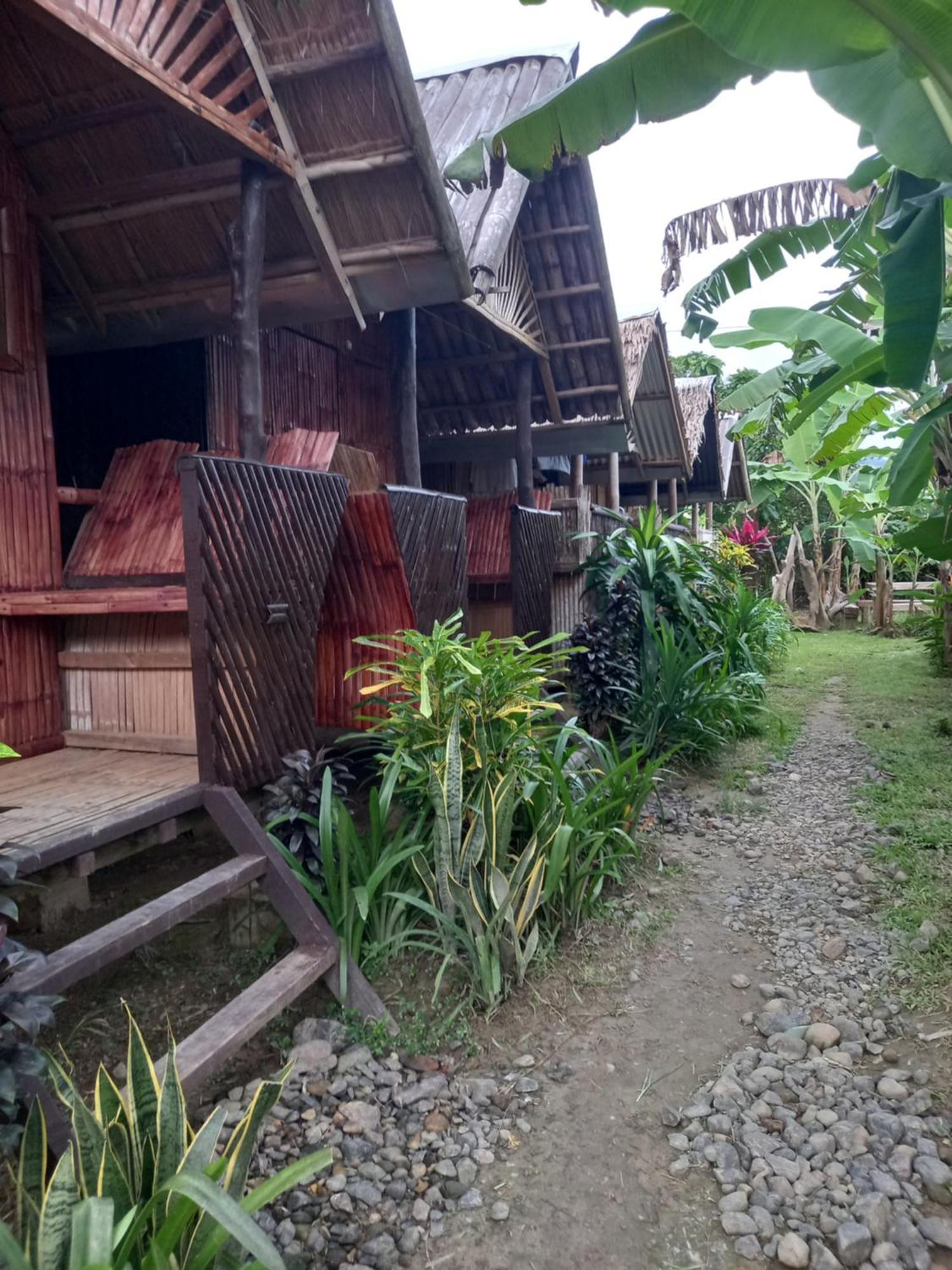 Banana Grove El Nido Hotell Rom bilde